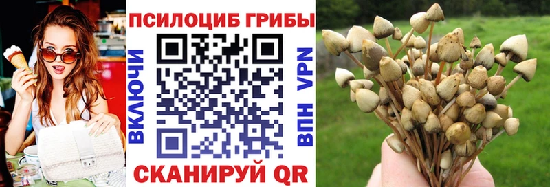 mega ТОР  Тверь  Псилоцибиновые грибы ЛСД  купить наркотики цена 
